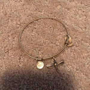 Alex and Ani Dragonfly Bracelet